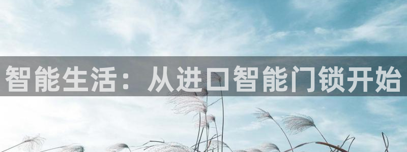 利记足球官网：智能生活：从进口智能门锁开始