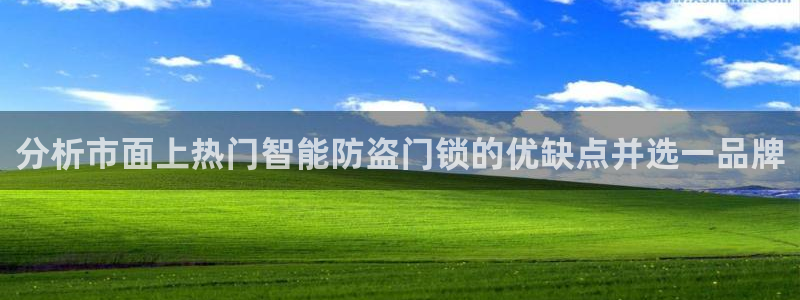 香港利记lee kee集团官网：分析市面上热门智能防盗门锁的