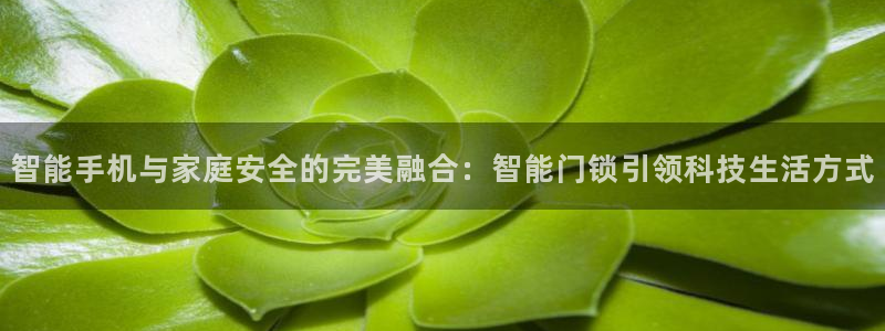 利记平台官网：智能手机与家庭安全的完美融合：智能门锁引领科技