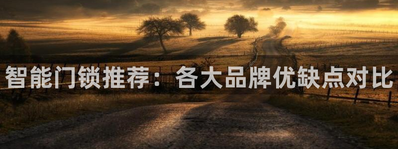 利记国际线址官网：智能门锁推荐：各大品牌优缺点对比