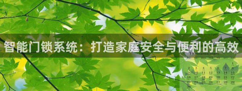 利记官网入口最新版：智能门锁系统：打造家庭安全与便利的高效