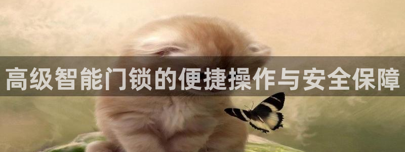 利记官网app