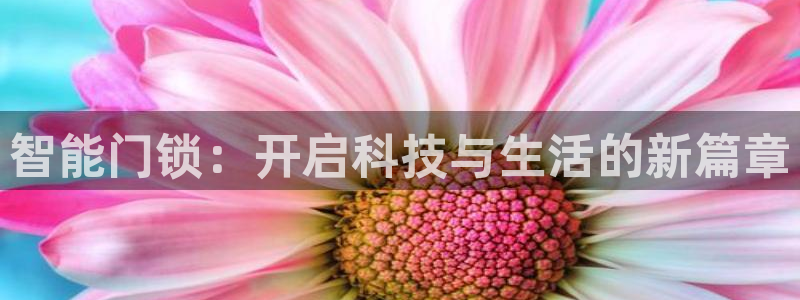 万利记官网电话