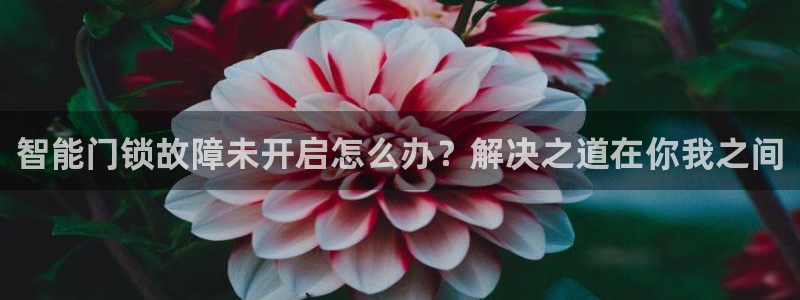 利记国际有限公司官网：智能门锁故障未开启怎么办？解决之道在你