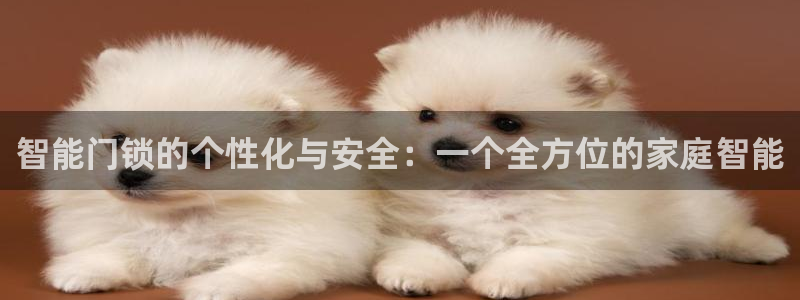 利记手机官网：智能门锁的个性化与安全：一个全方位的家庭智能