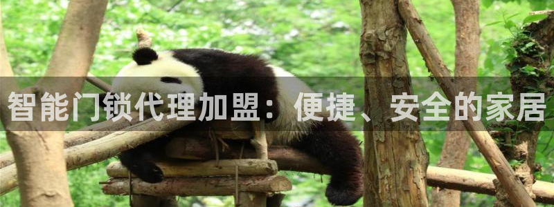 利记官网多少：智能门锁代理加盟：便捷、安全的家居