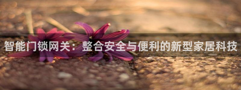 利记官网app下载网址日博官网网址：智能门锁网关：整合安全与