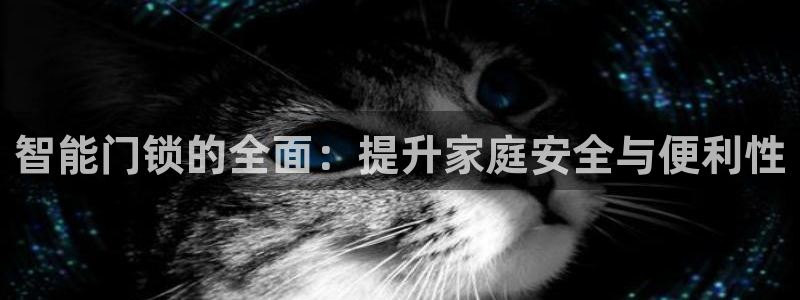 利记官网备用网址：智能门锁的全面：提升家庭安全与便利性