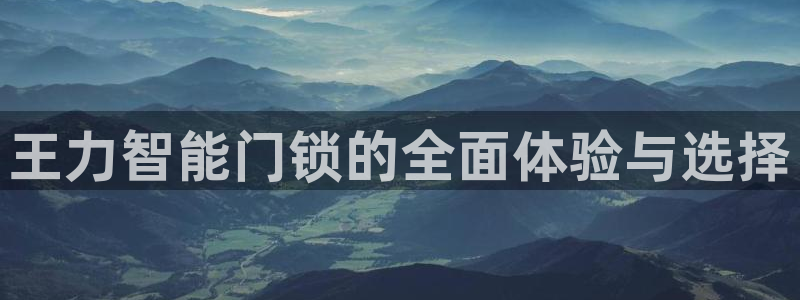 利记 利记官网