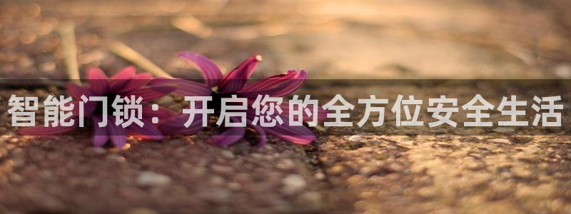 利记坊官网登录：智能门锁：开启您的全方位安全生活