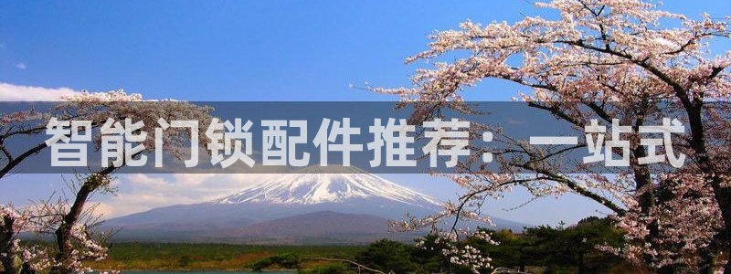 利记官网是什么：智能门锁配件推荐：一站式