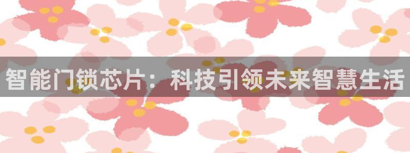 利记坊官网注册账号：智能门锁芯片：科技引领未来智慧生活