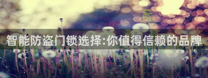 利记坊官网：智能防盗门锁选择:你值得信赖的品牌