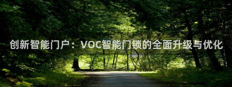 利记坊官网登录：创新智能门户：VOC智能门锁的全面升级与优化