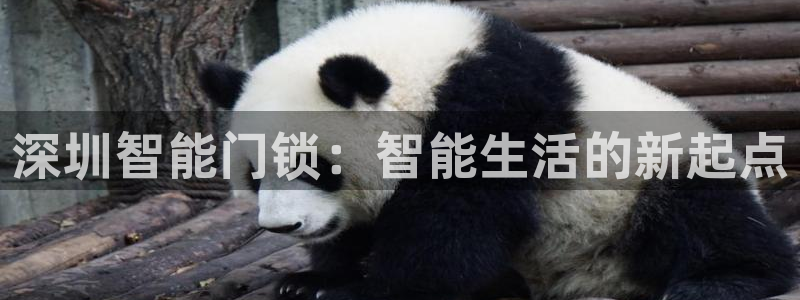 利记平台官网：深圳智能门锁：智能生活的新起点