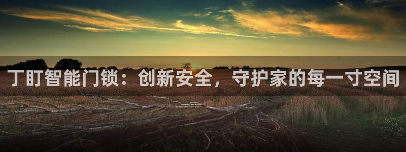 利记官网备用网址：丁盯智能门锁：创新安全，守护家的每一寸空间