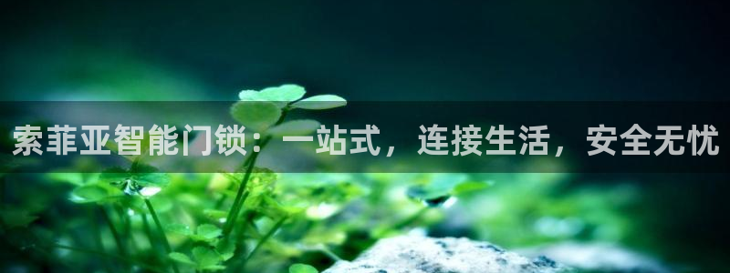香港利记lee kee集团官网：索菲亚智能门锁：一站式，连接