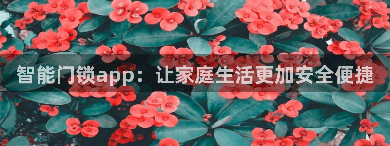 澳博官网app利记网址