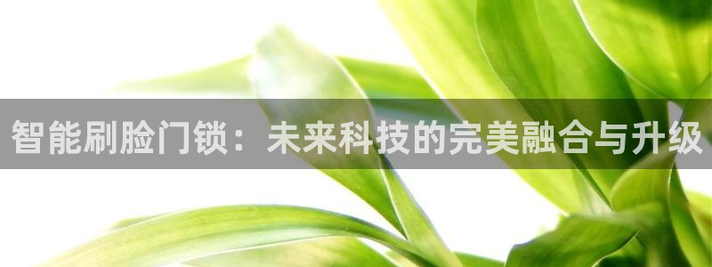 利记体育官网地址：智能刷脸门锁：未来科技的完美融合与升级