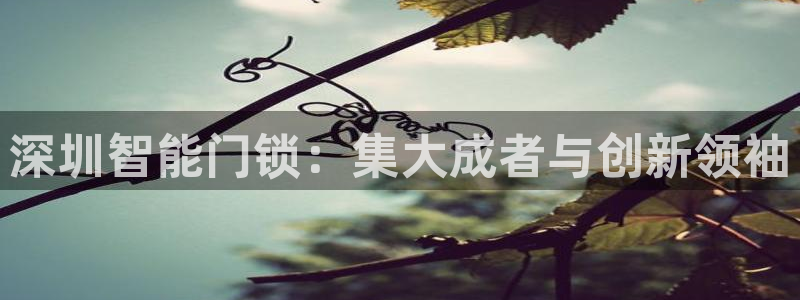 林利记官网：深圳智能门锁：集大成者与创新领袖