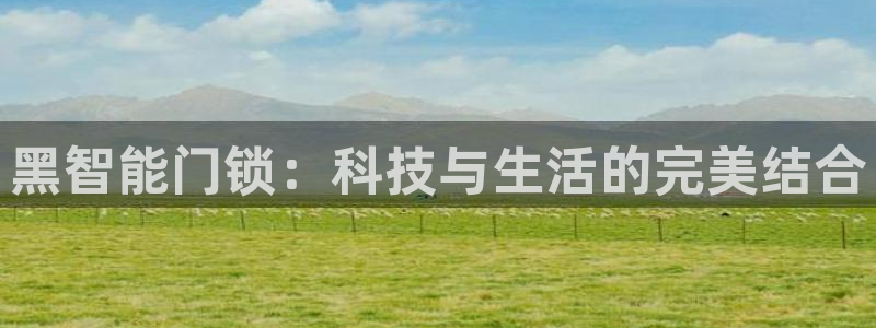 利记平台官网：黑智能门锁：科技与生活的完美结合