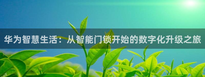 利记官网行业领导者：华为智慧生活：从智能门锁开始的数字化升级