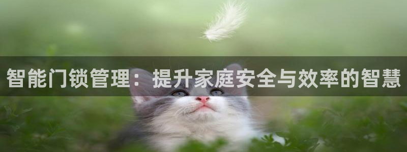 利记sbobe官网：智能门锁管理：提升家庭安全与效率的智慧