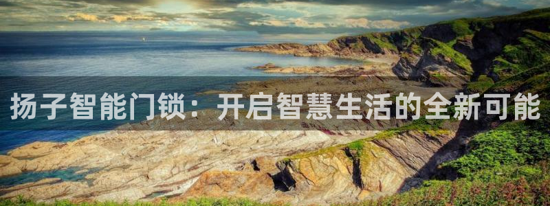 利记彩票导航网址官网hd71：扬子智能门锁：开启智慧生活的全