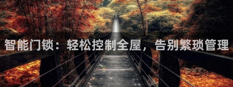 利记游戏开户ysb体育官方官网：智能门锁：轻松控制全屋，告别