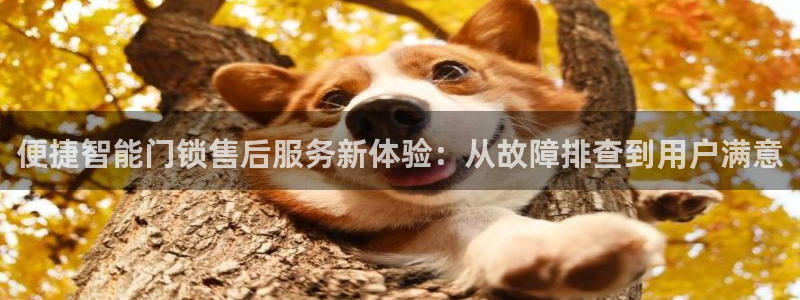 利记体育官网首页：便捷智能门锁售后服务新体验：从故障排查到用