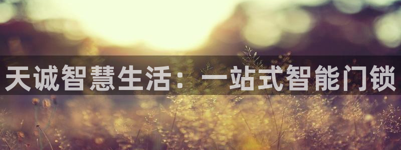 万利记官方旗舰店官网：天诚智慧生活：一站式智能门锁