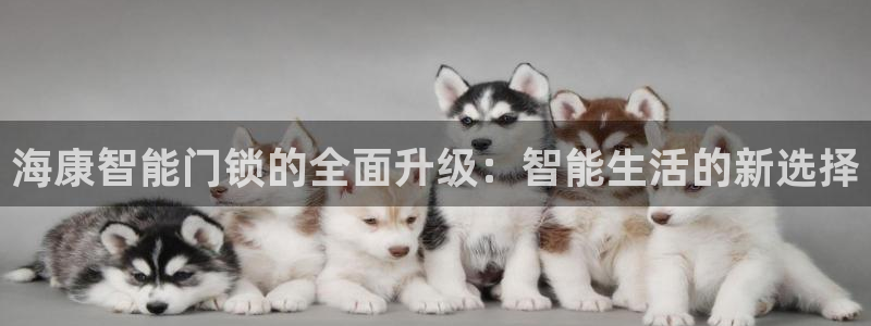 利记坊官网注册账号：海康智能门锁的全面升级：智能生活的新选择