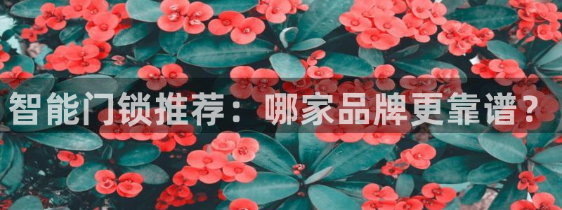 利记官网官方网站：智能门锁推荐：哪家品牌更靠谱？