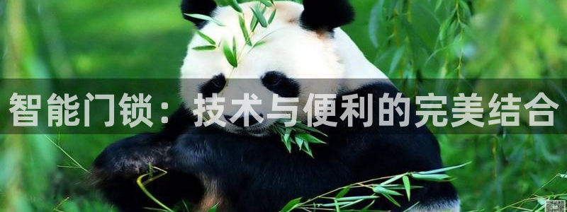 利记官网官方网址：智能门锁：技术与便利的完美结合