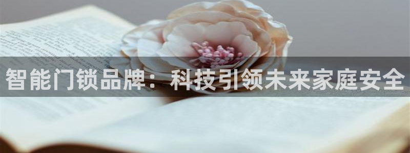 利记手机官网：智能门锁品牌：科技引领未来家庭安全