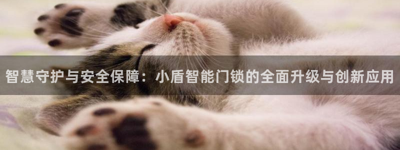 利记官网是什么：智慧守护与安全保障：小盾智能门锁的全面升级与