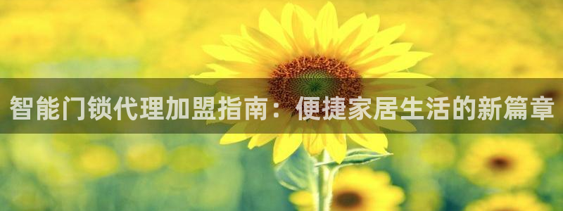 利记体育平台官网：智能门锁代理加盟指南：便捷家居生活的新篇章