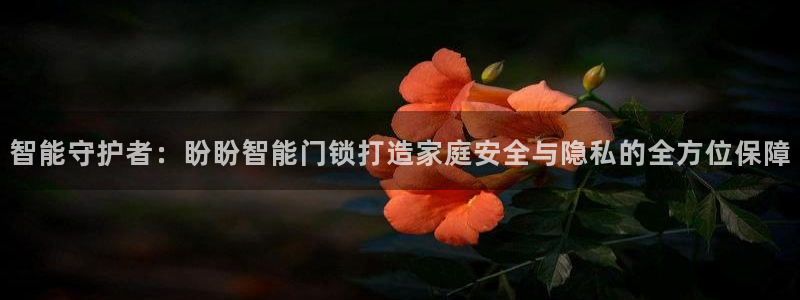 利记坊官网登录：智能守护者：盼盼智能门锁打造家庭安全与隐私的