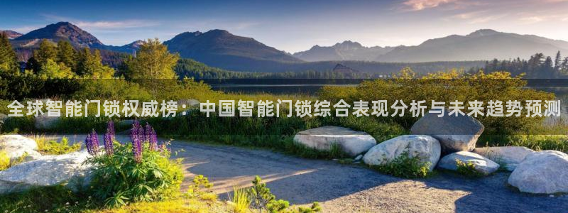 利记sbobet官网电脑版：全球智能门锁权威榜：中国智能门锁