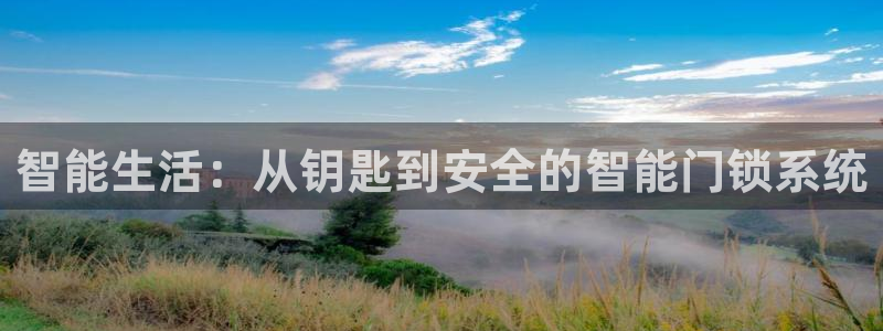 利记app官网入口：智能生活：从钥匙到安全的智能门锁系统