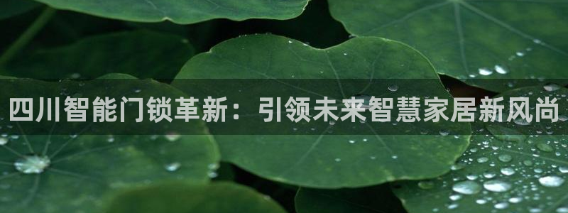 利记手机官网bb电子平台官方：四川智能门锁革新：引领未来智慧