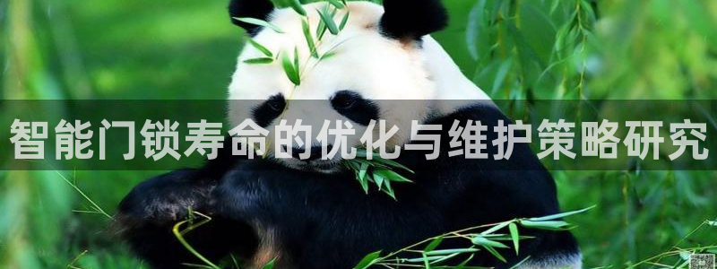 大利来记官网：智能门锁寿命的优化与维护策略研究