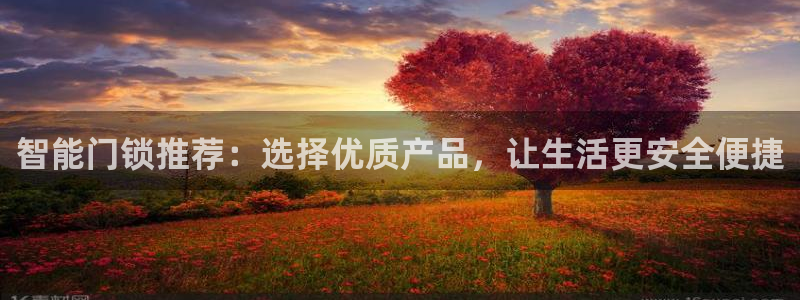 利记官网行业领导者：智能门锁推荐：选择优质产品，让生活更安全