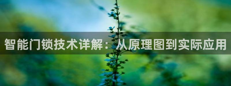 新利记官网：智能门锁技术详解：从原理图到实际应用
