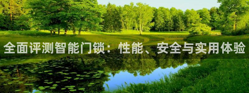 万利记官方旗舰店官网：全面评测智能门锁：性能、安全与实用体验