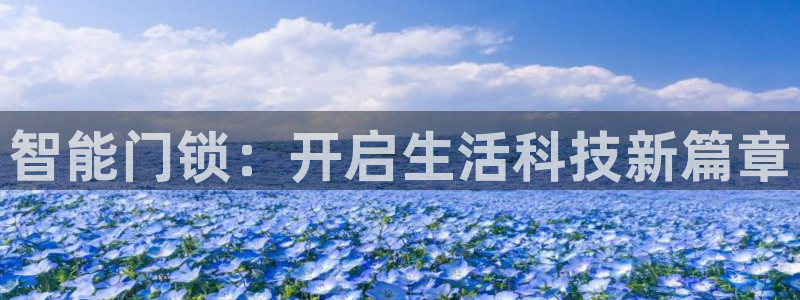 利记官网日亚运比：智能门锁：开启生活科技新篇章