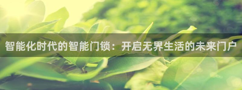 万利记官方旗舰店官网：智能化时代的智能门锁：开启无界生活的未