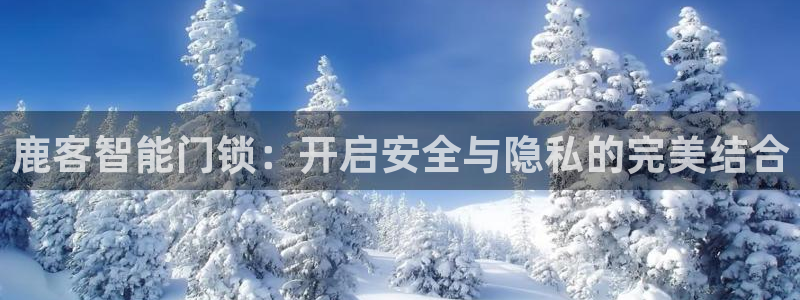香港利记集团官网旗舰店：鹿客智能门锁：开启安全与隐私的完美结