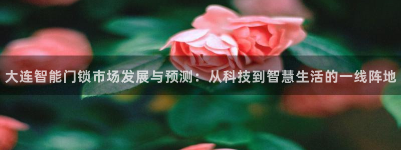 利记网官网：大连智能门锁市场发展与预测：从科技到智慧生活的一