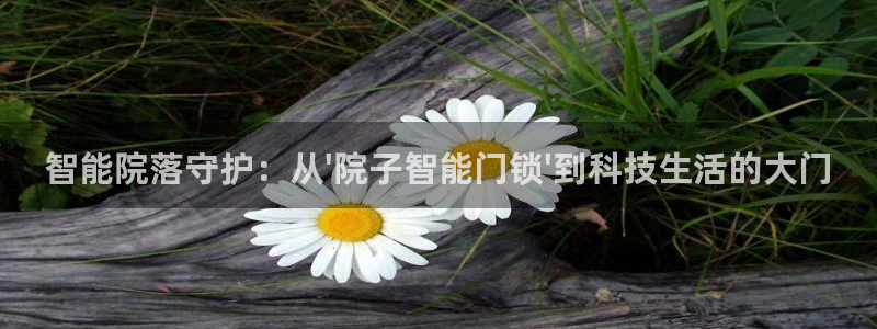 澳门大利来记官网：智能院落守护：从\'院子智能门锁\'到科技